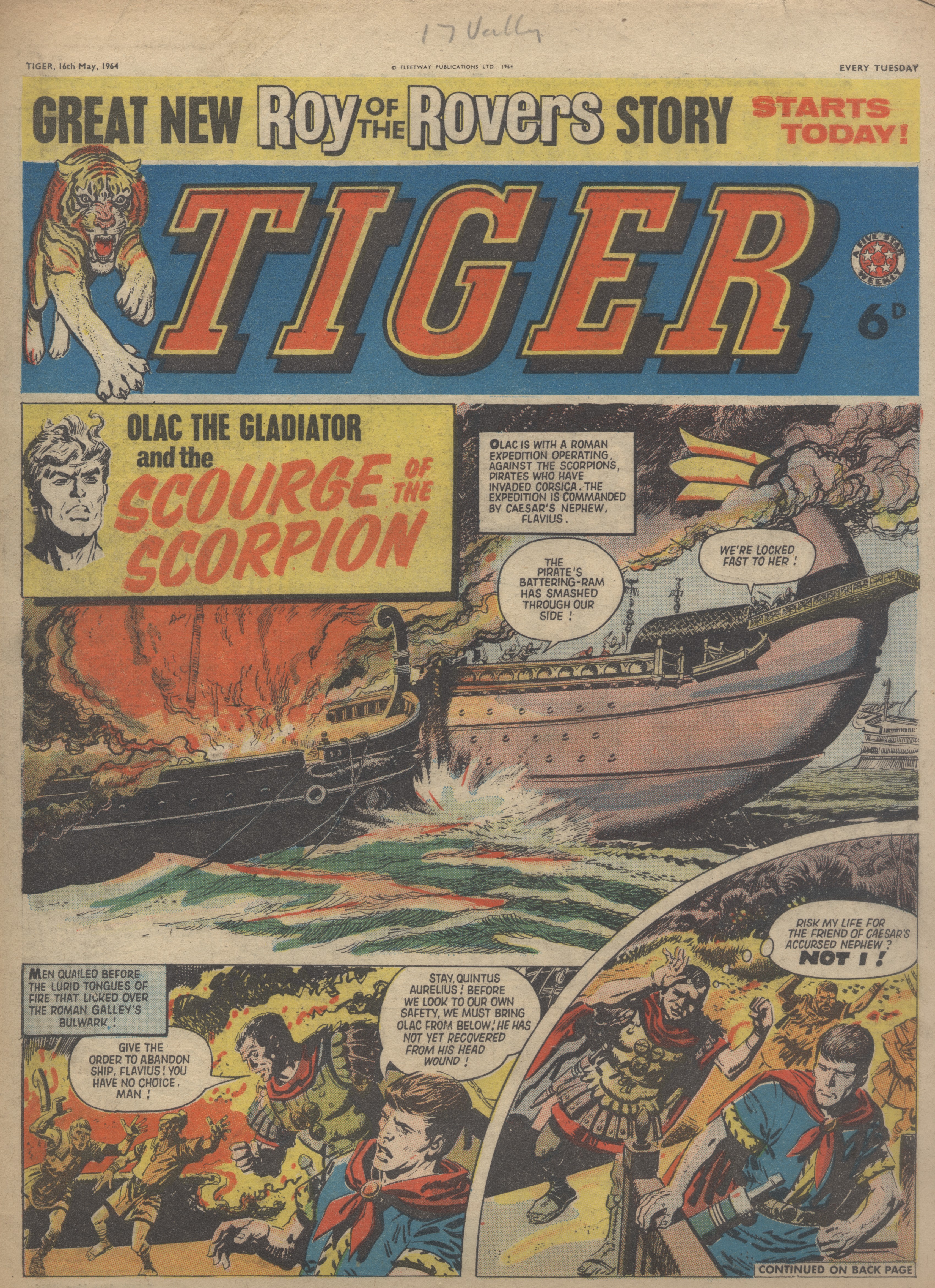 Tiger